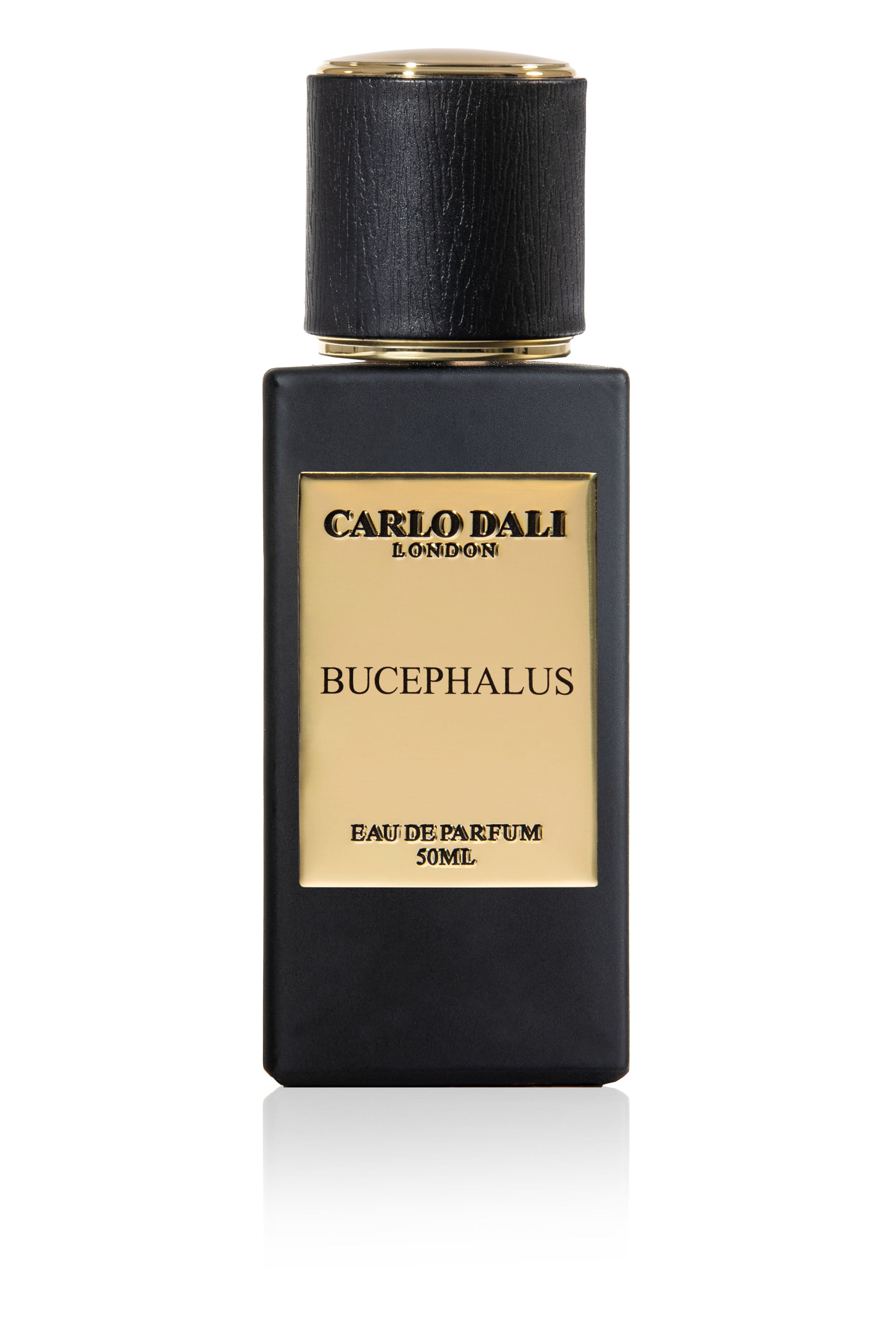 BUCEPHALUS 1